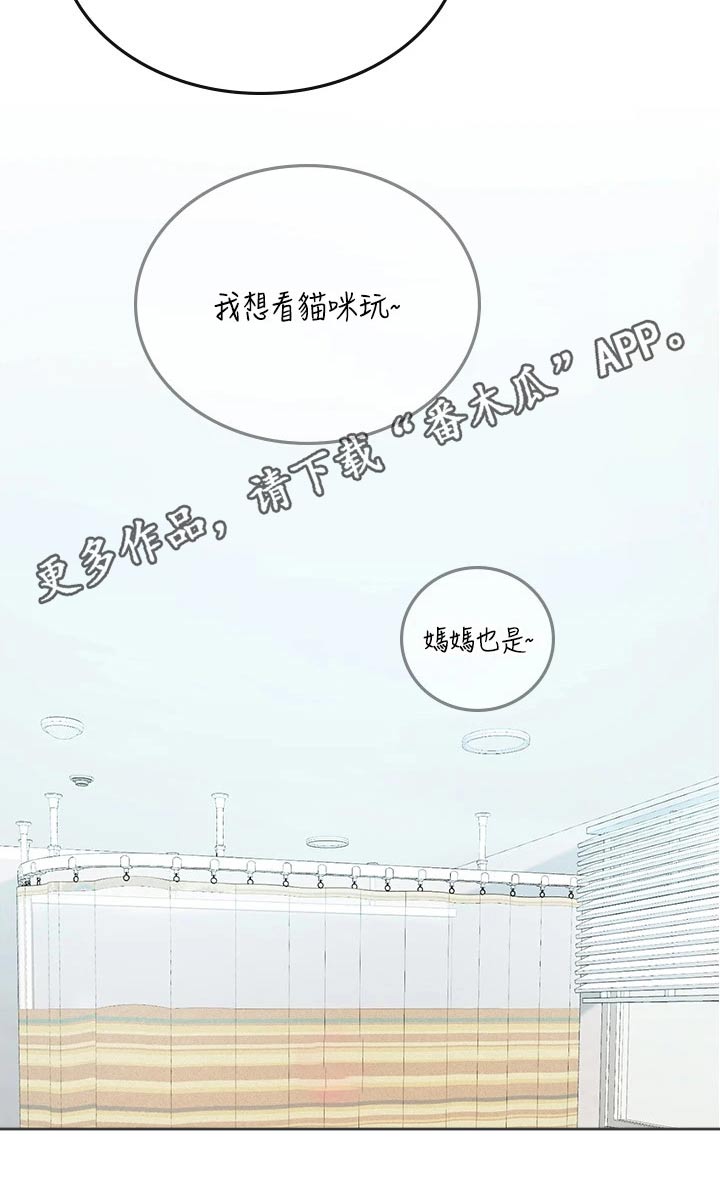 第42章：猫咪19