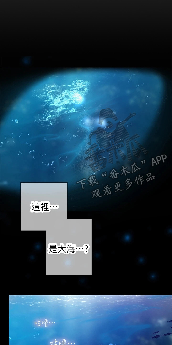 第14章：做梦13