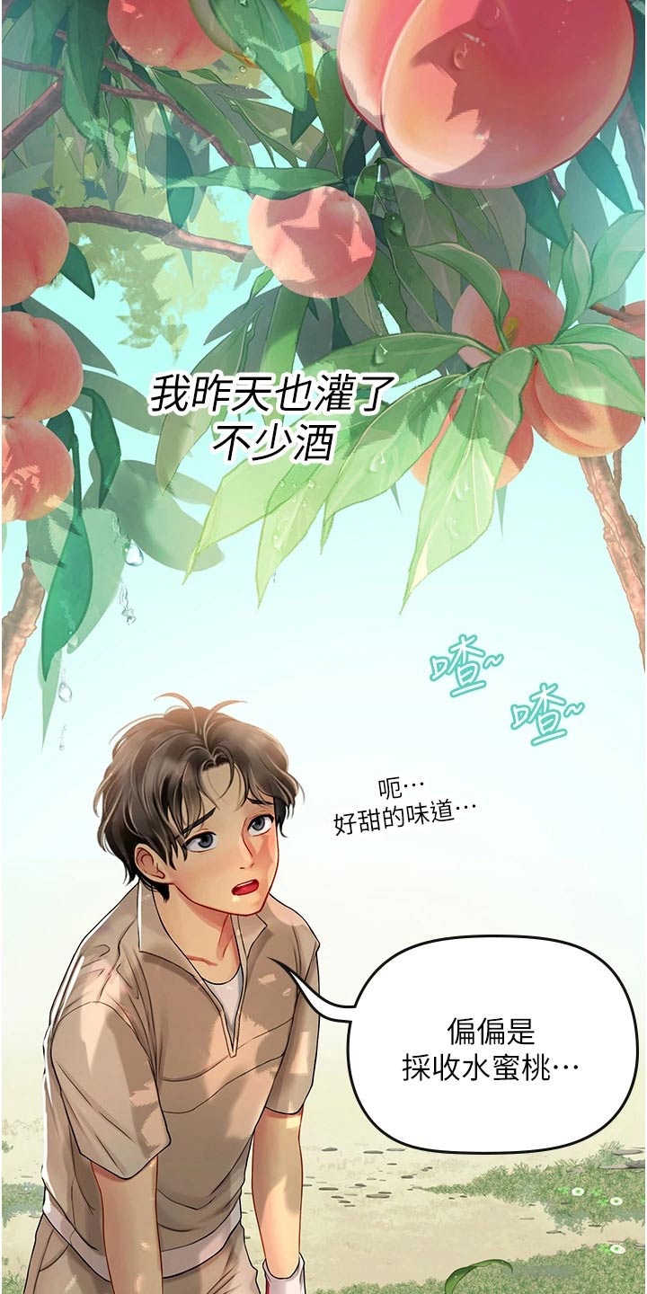 第53章：水蜜桃11