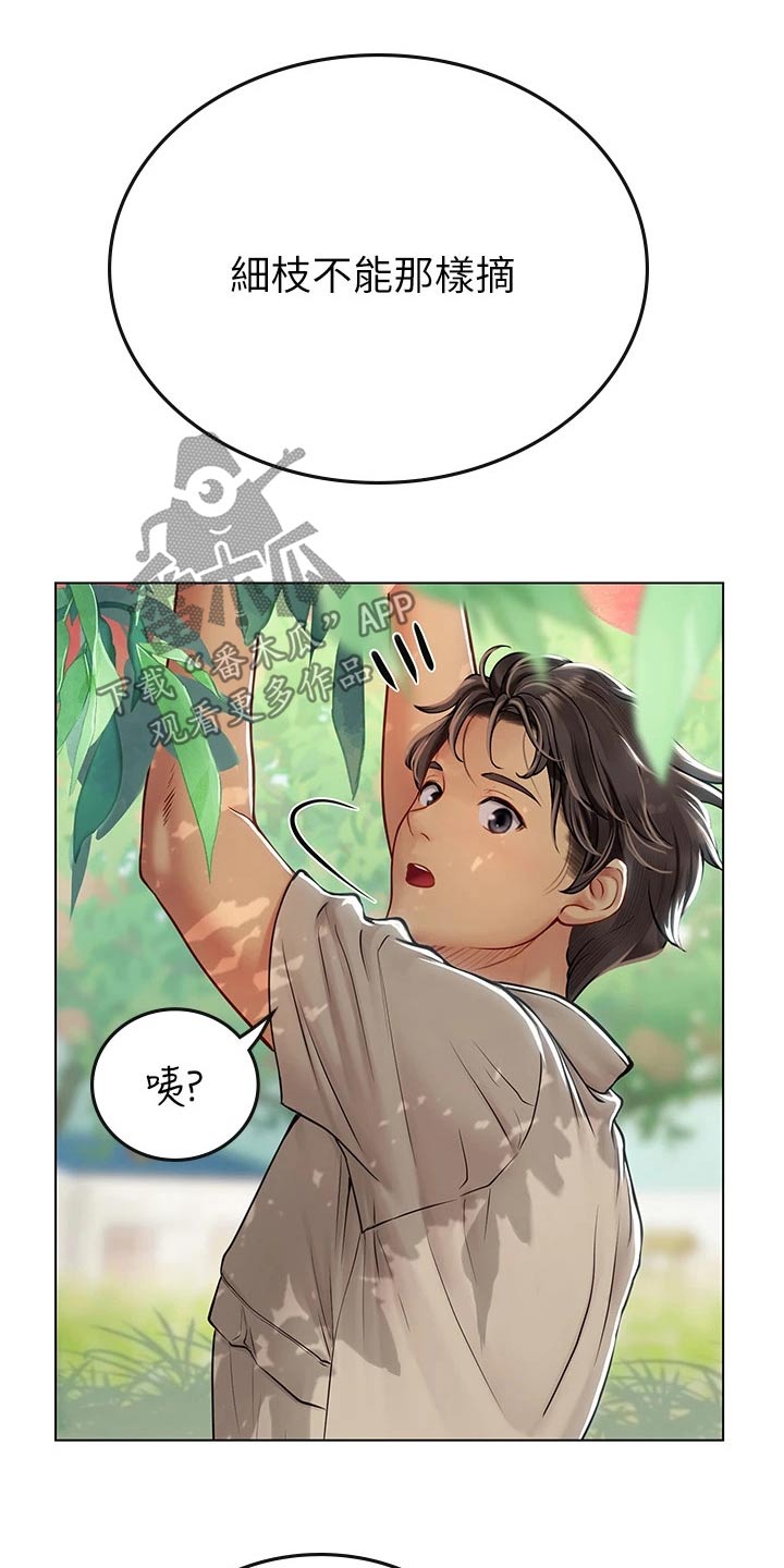 第53章：水蜜桃19