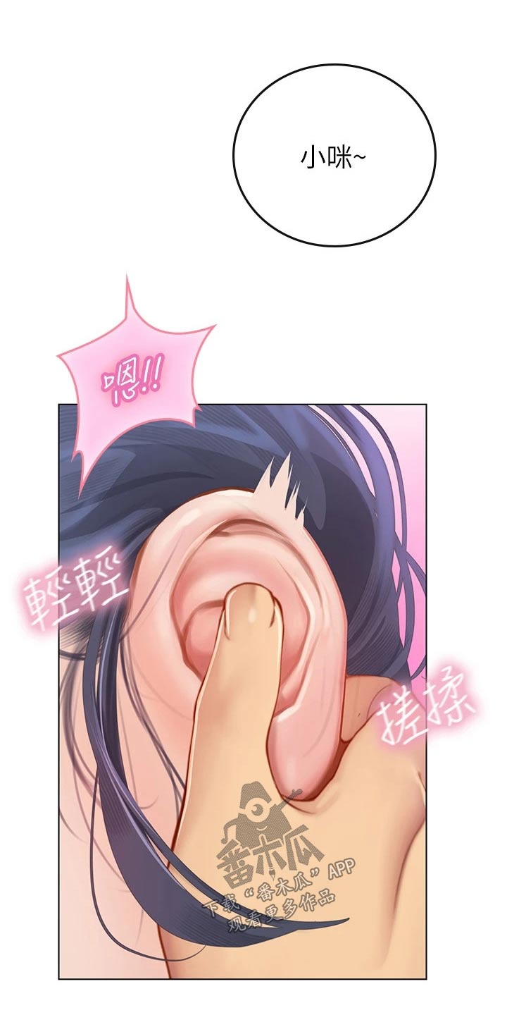 第42章：猫咪13
