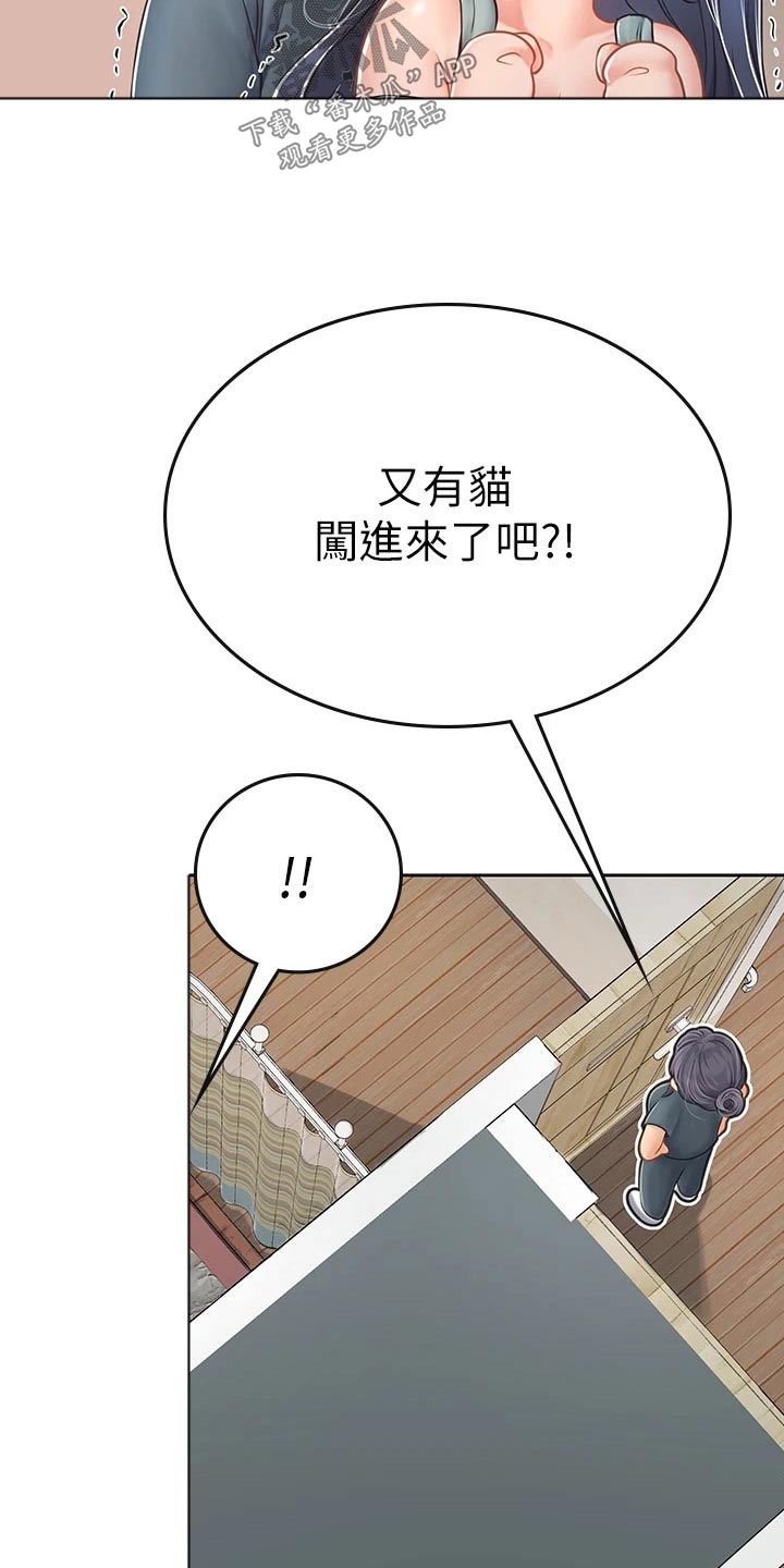 第42章：猫咪5