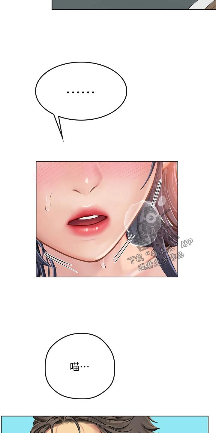 第42章：猫咪6