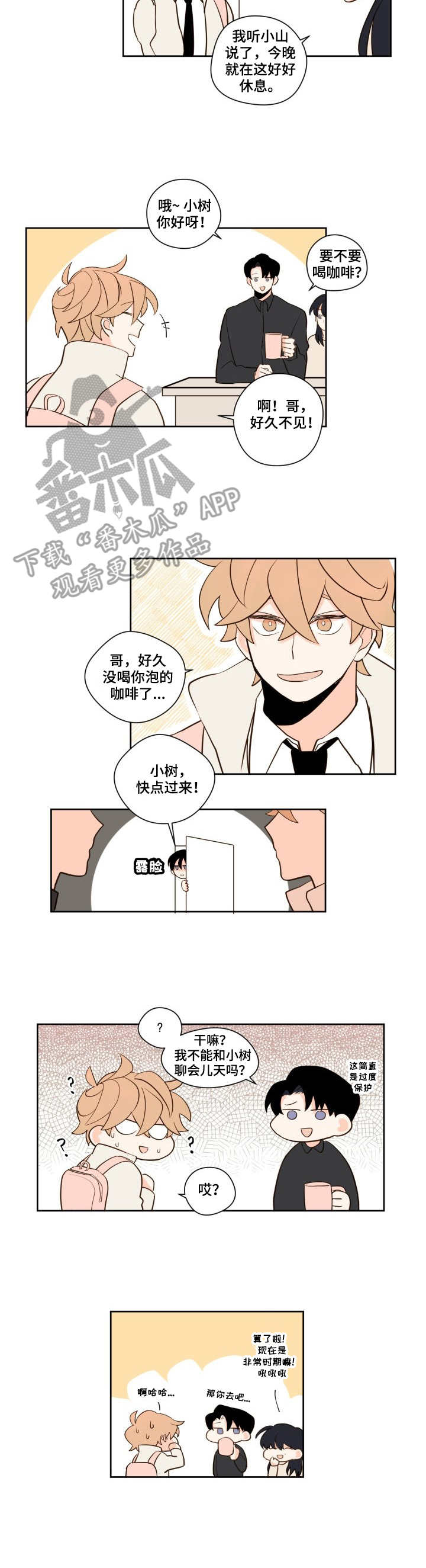 第11章：猜测3