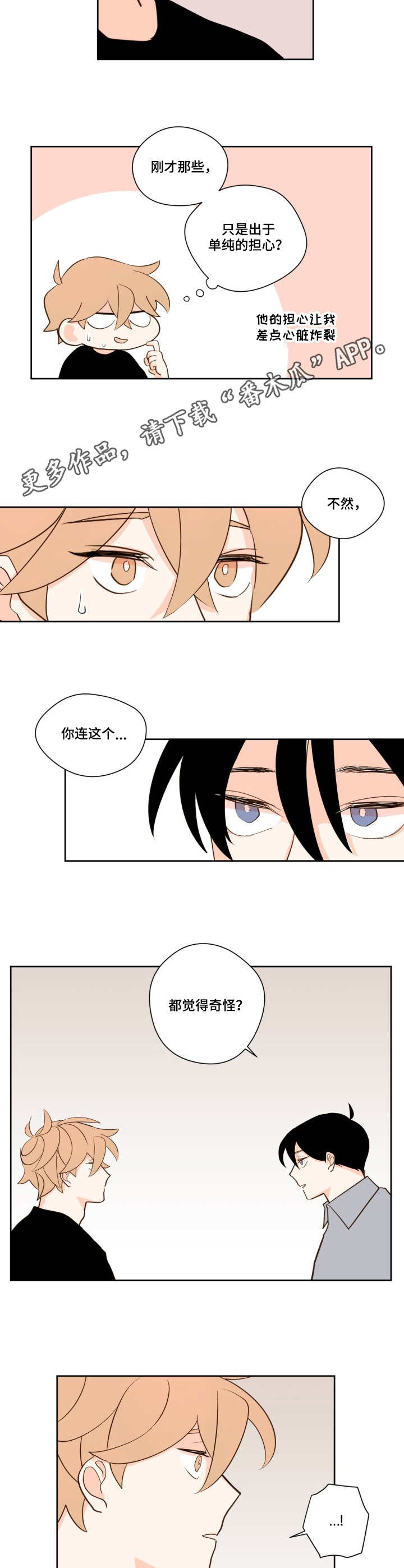 第13章：奇怪6