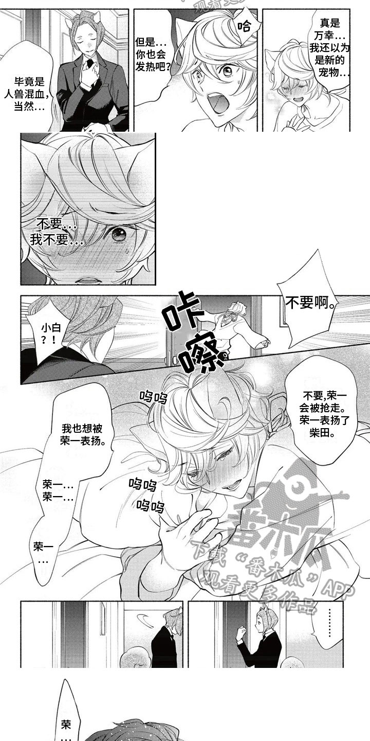 第15章：回答1
