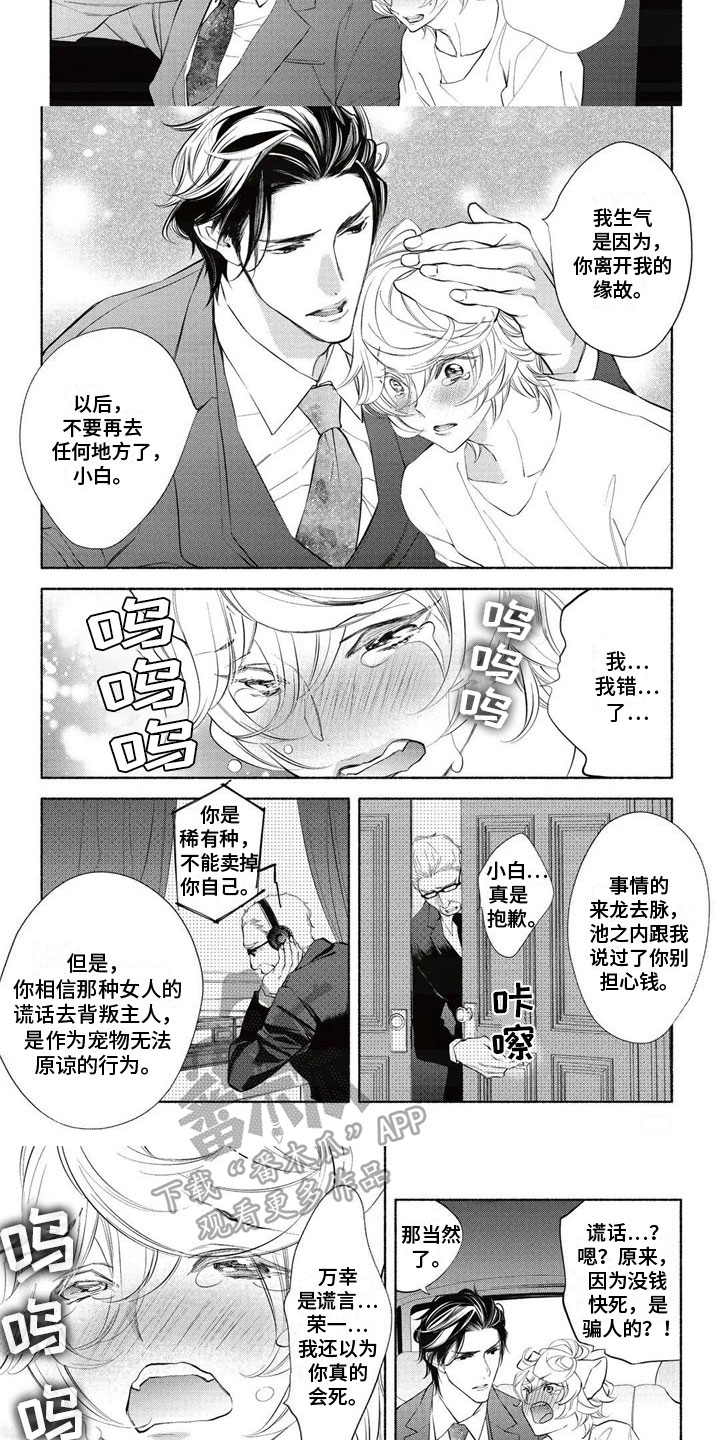 第11章：救出5