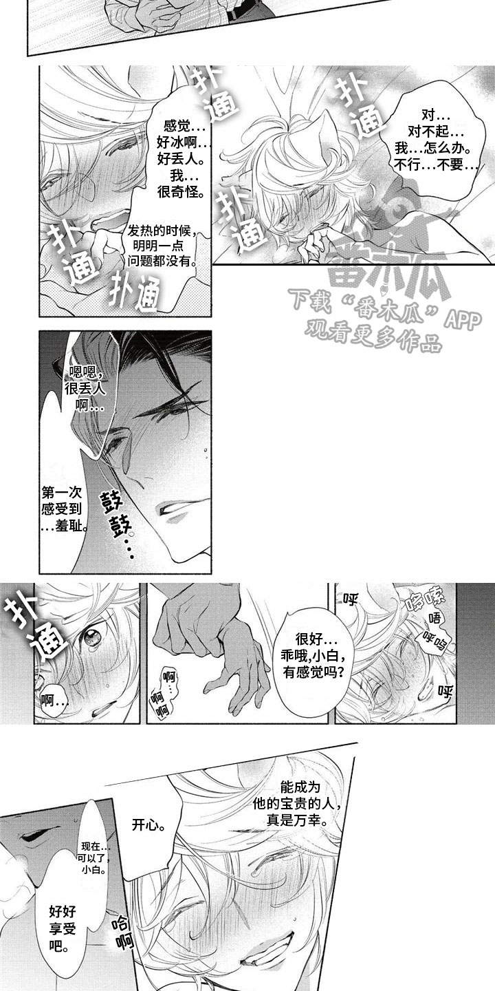 第13章：伴侣2