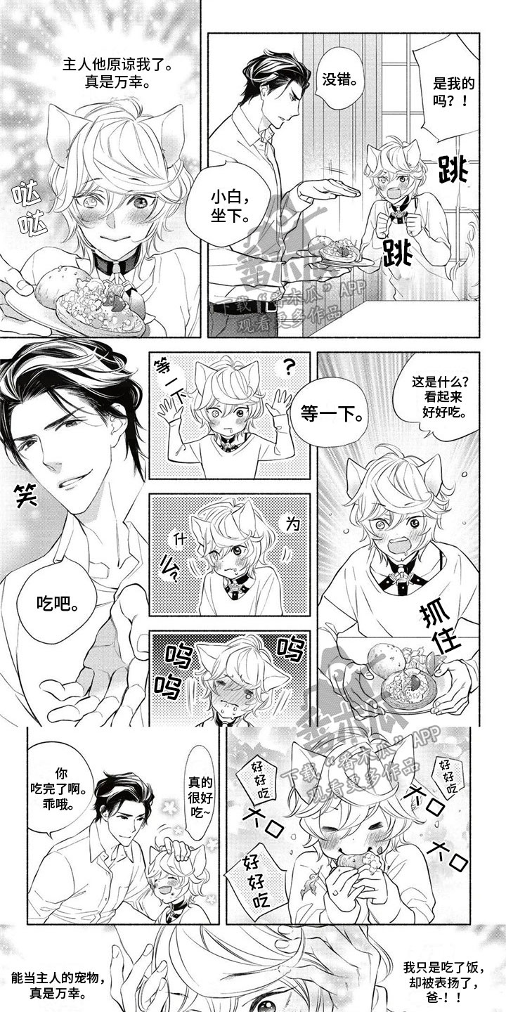 第4章：约定0