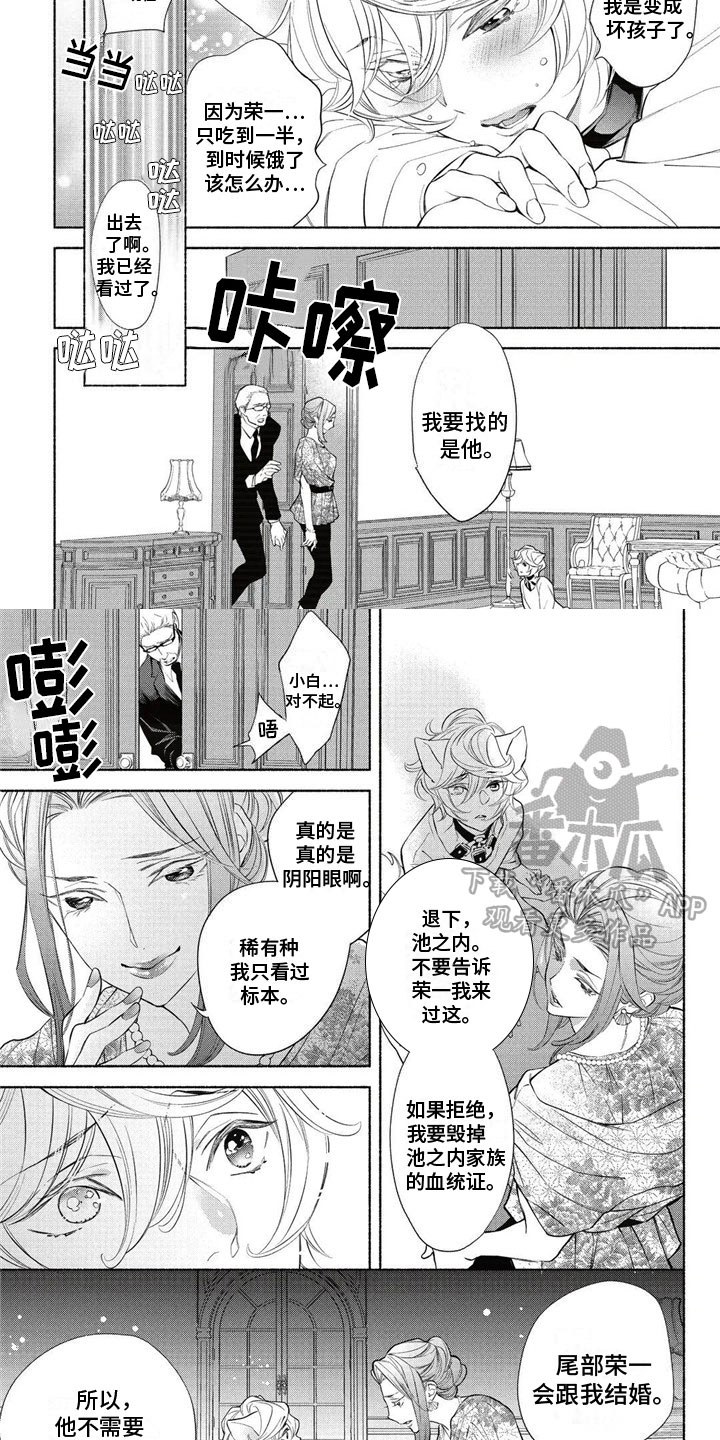 第8章：阴谋4