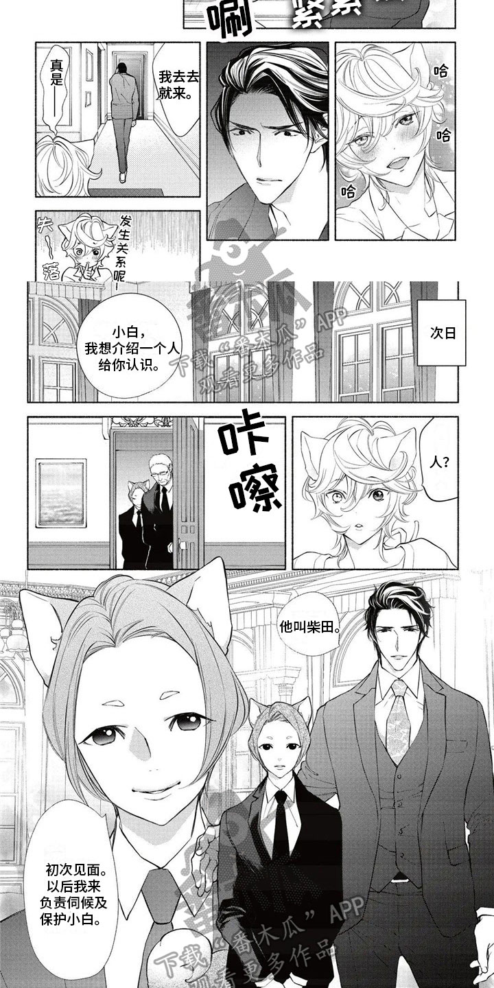 第14章：介绍5