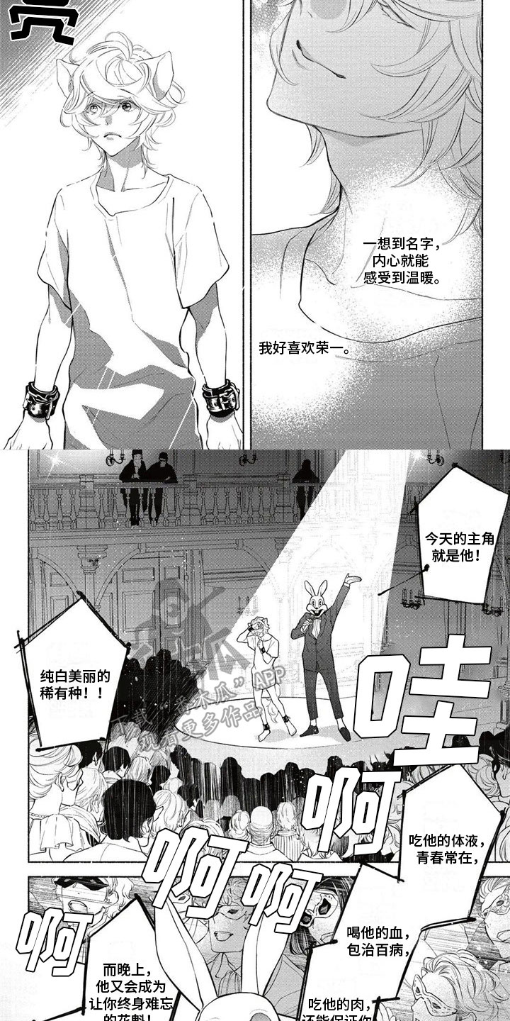 第10章：拍卖5
