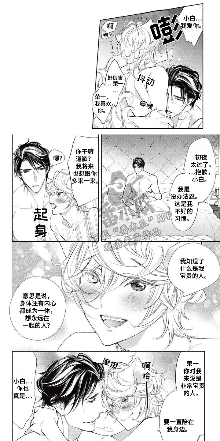 第13章：伴侣3