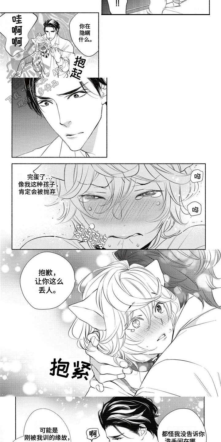 第4章：约定3