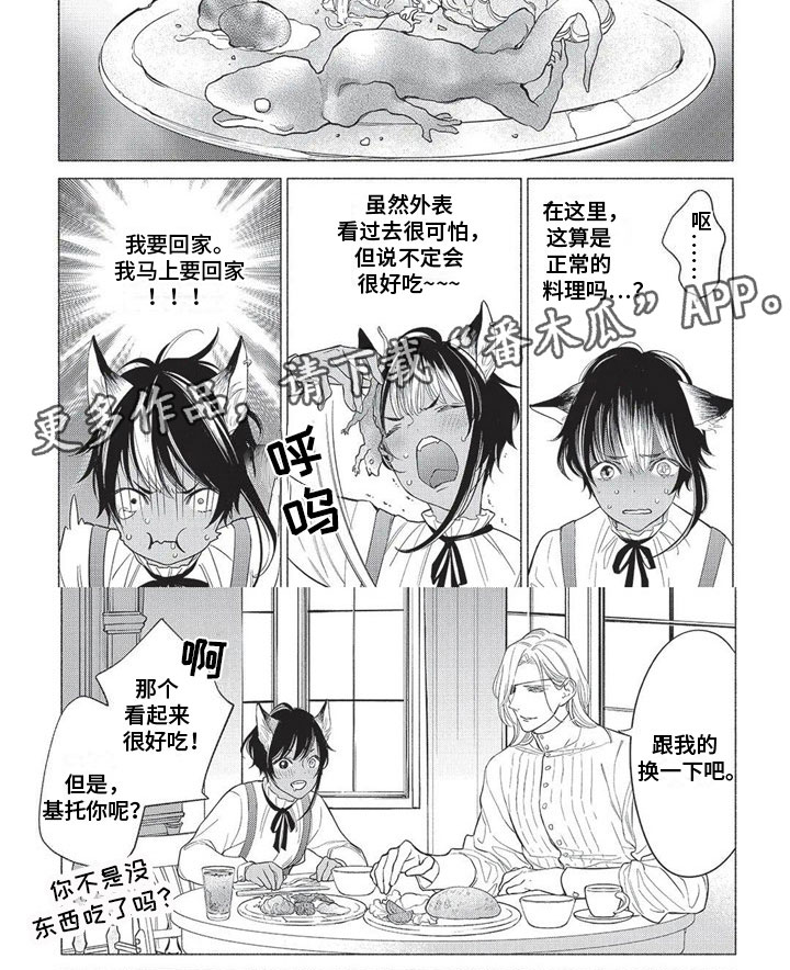 第19章：警惕5