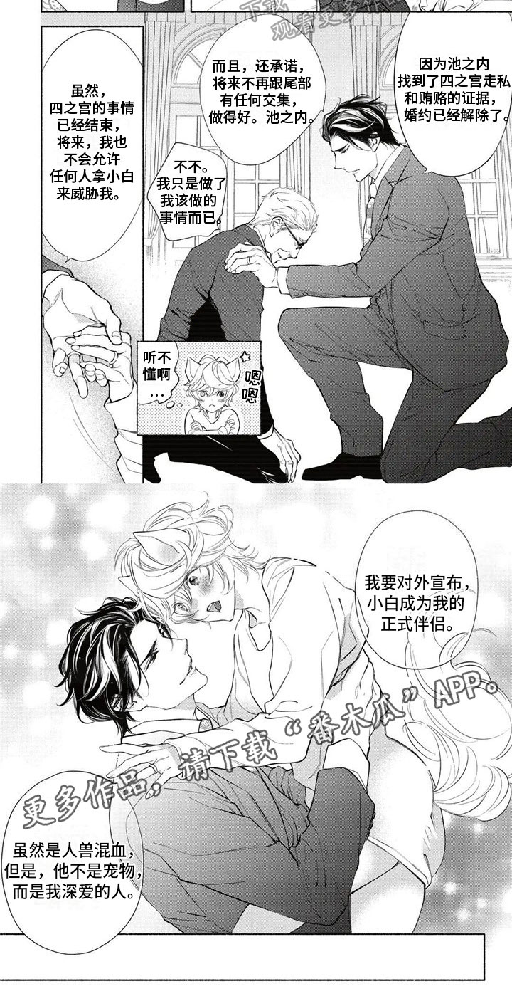 第13章：伴侣5