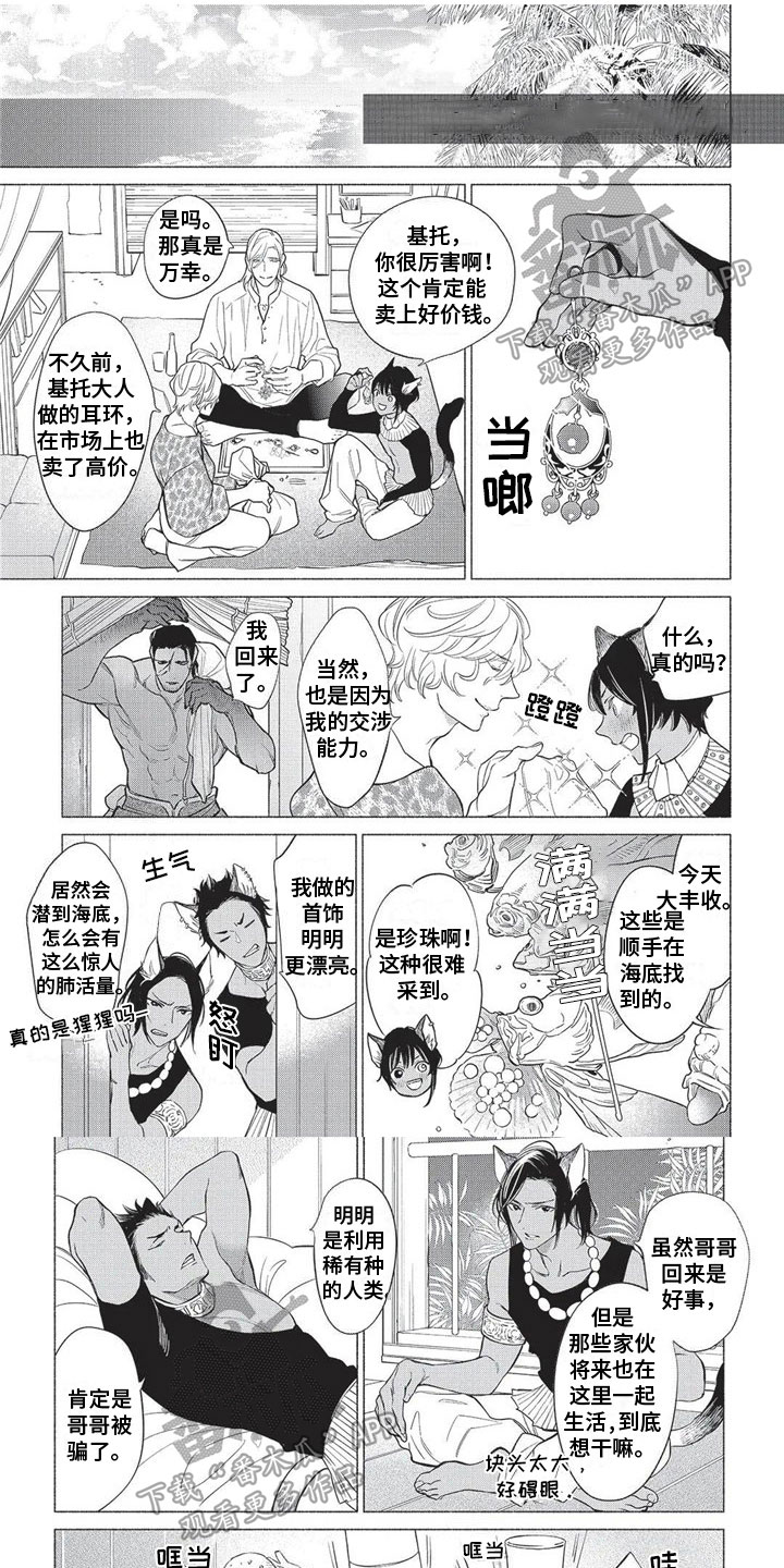 第32章：【番外】主意0