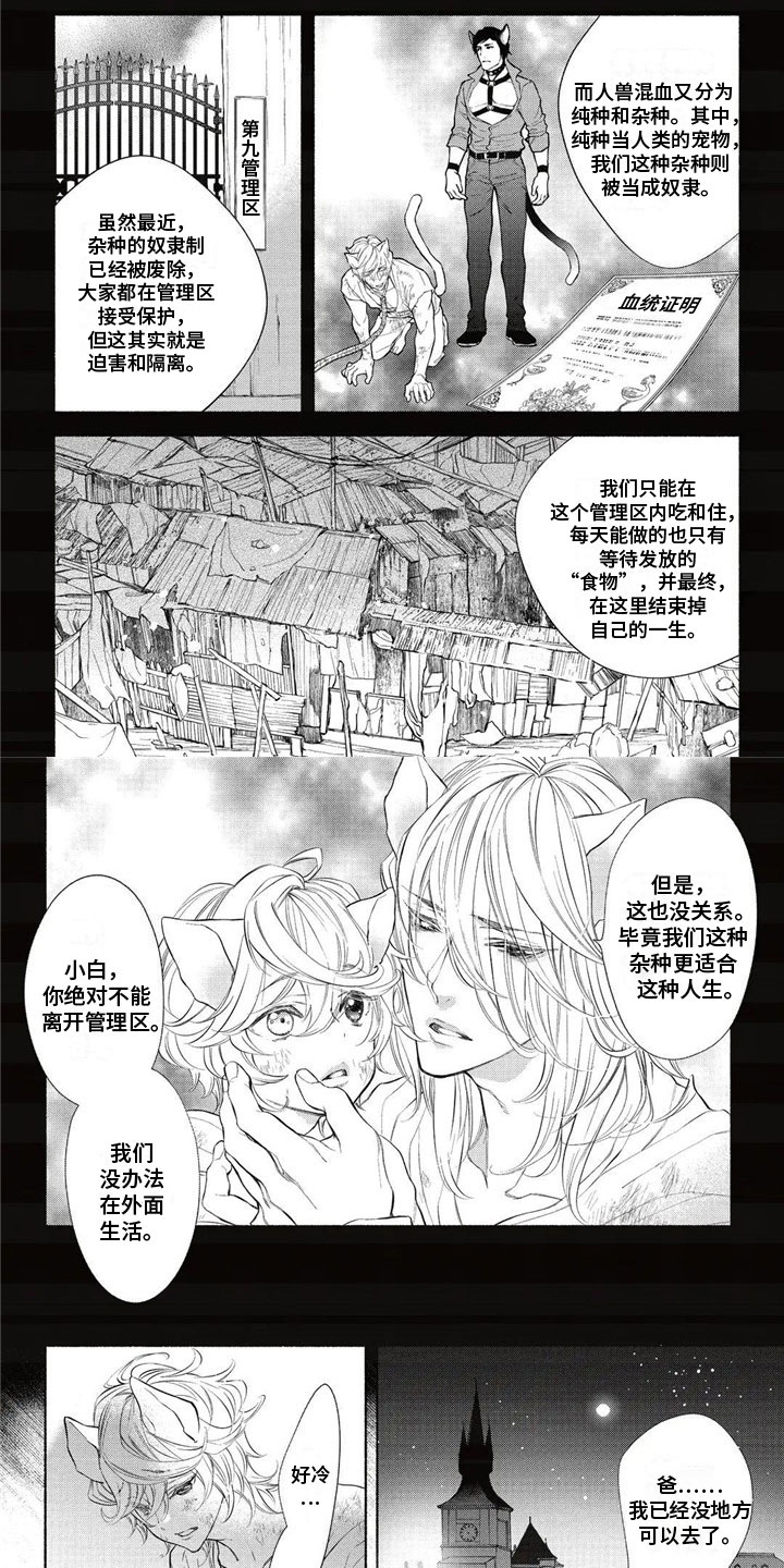 第2章：带回家0