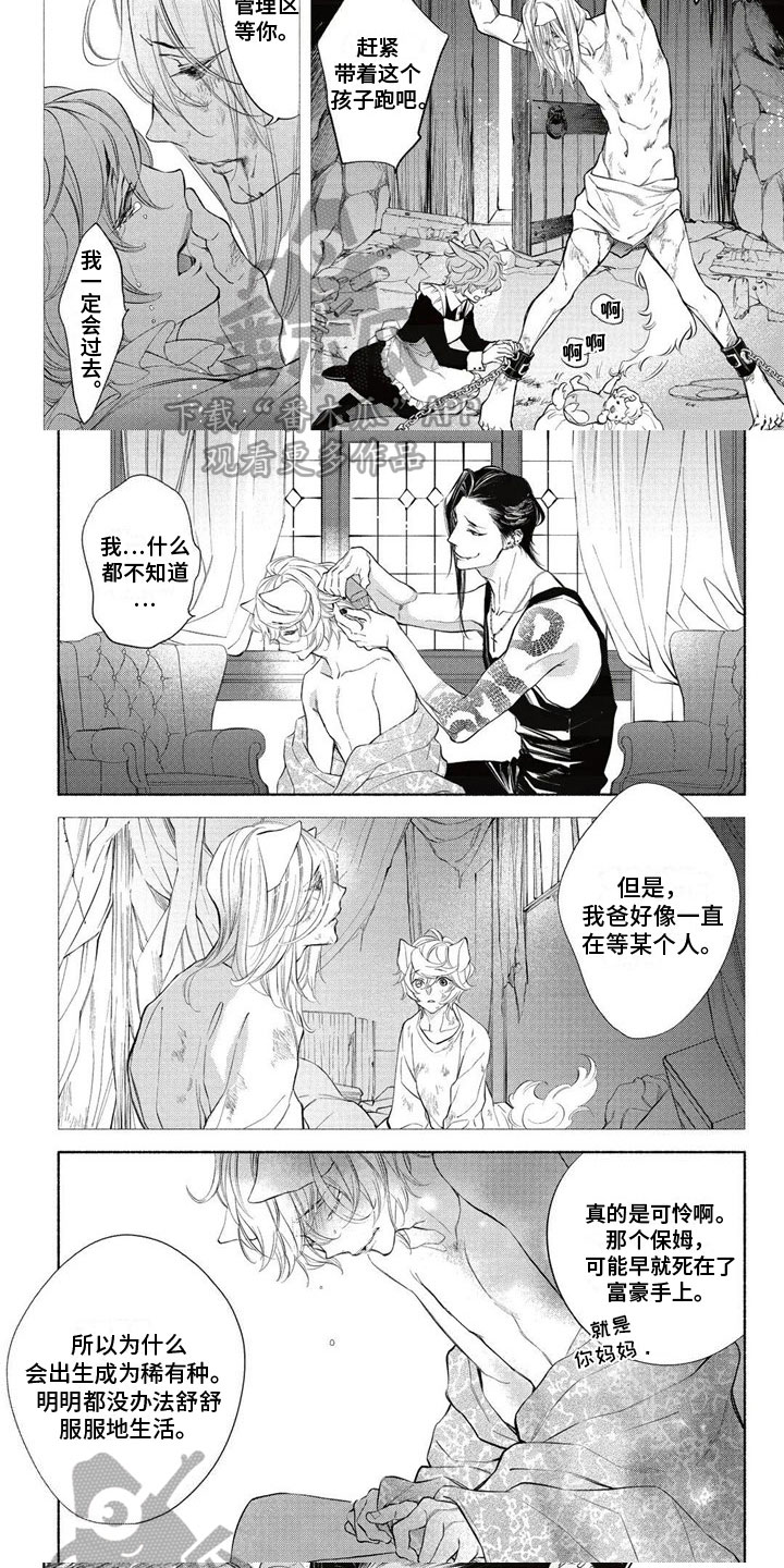 第10章：拍卖3