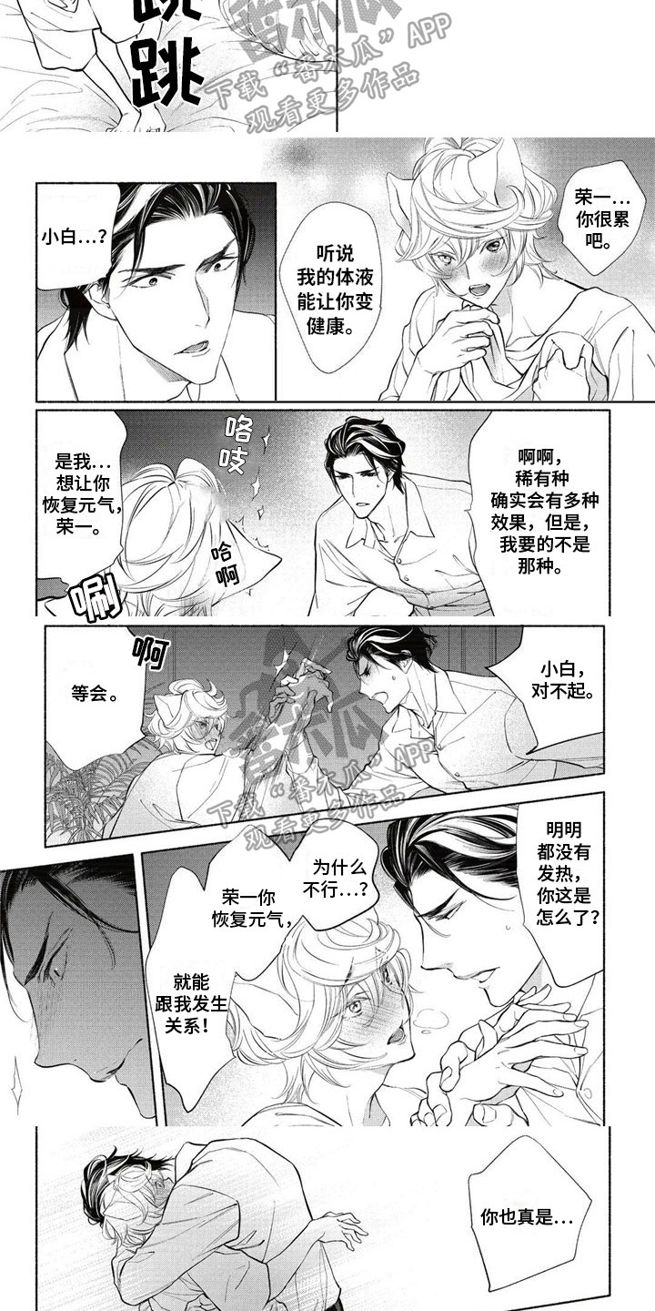第13章：伴侣1