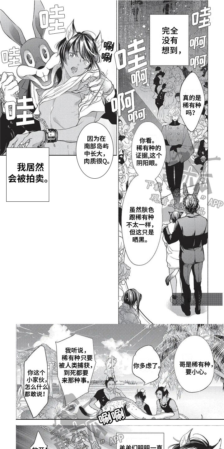 第17章：远离故乡0