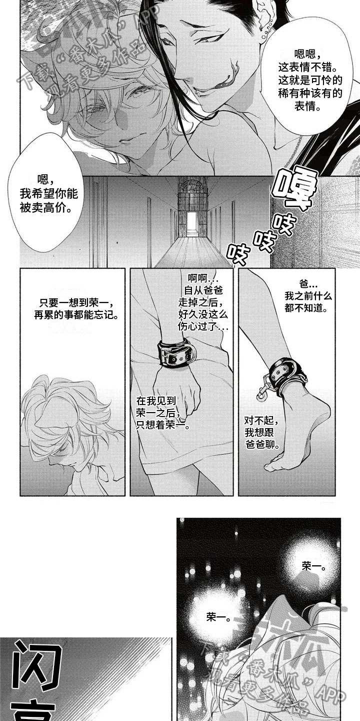 第10章：拍卖4