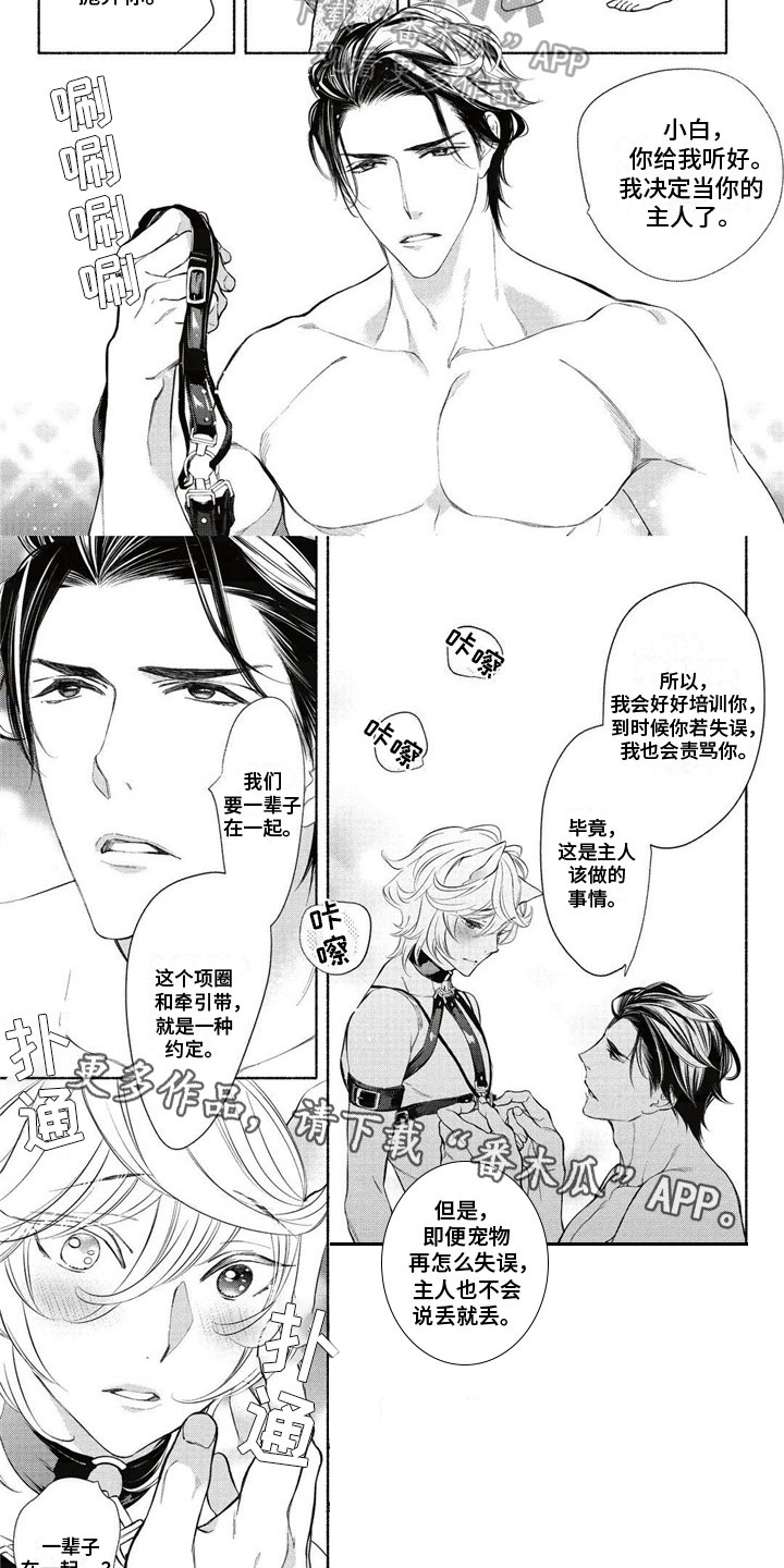第4章：约定5