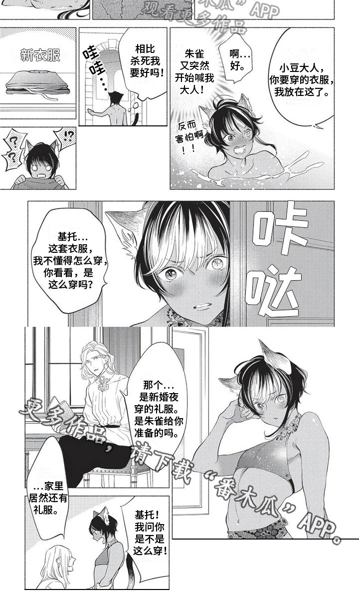 第30章：感谢5