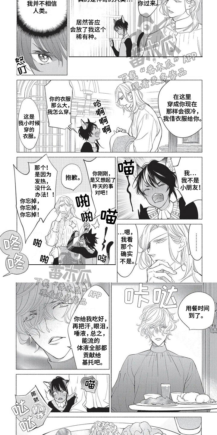 第19章：警惕4
