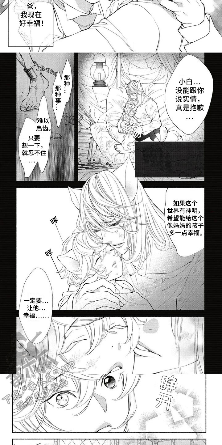 第14章：介绍3