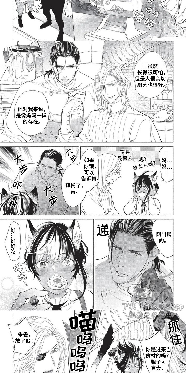 第20章：原因4