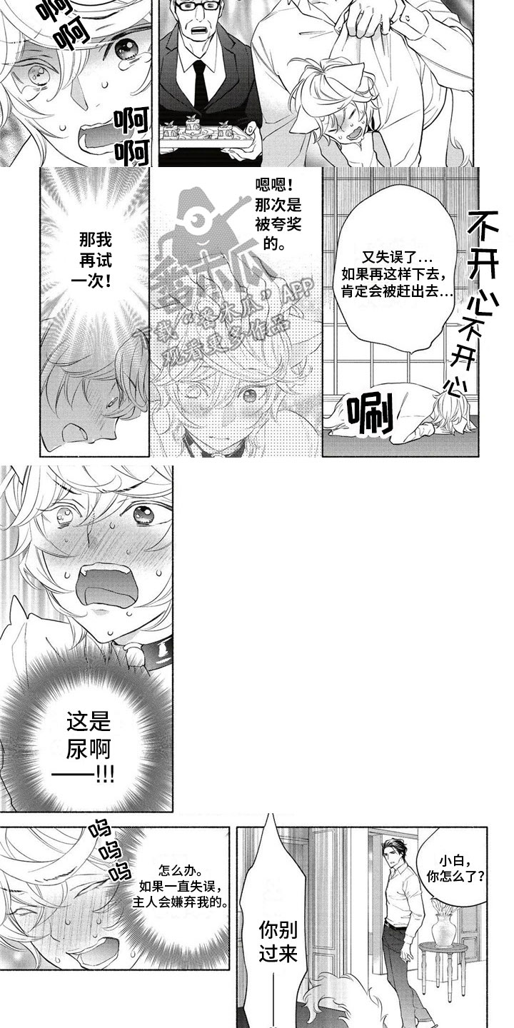 第4章：约定2