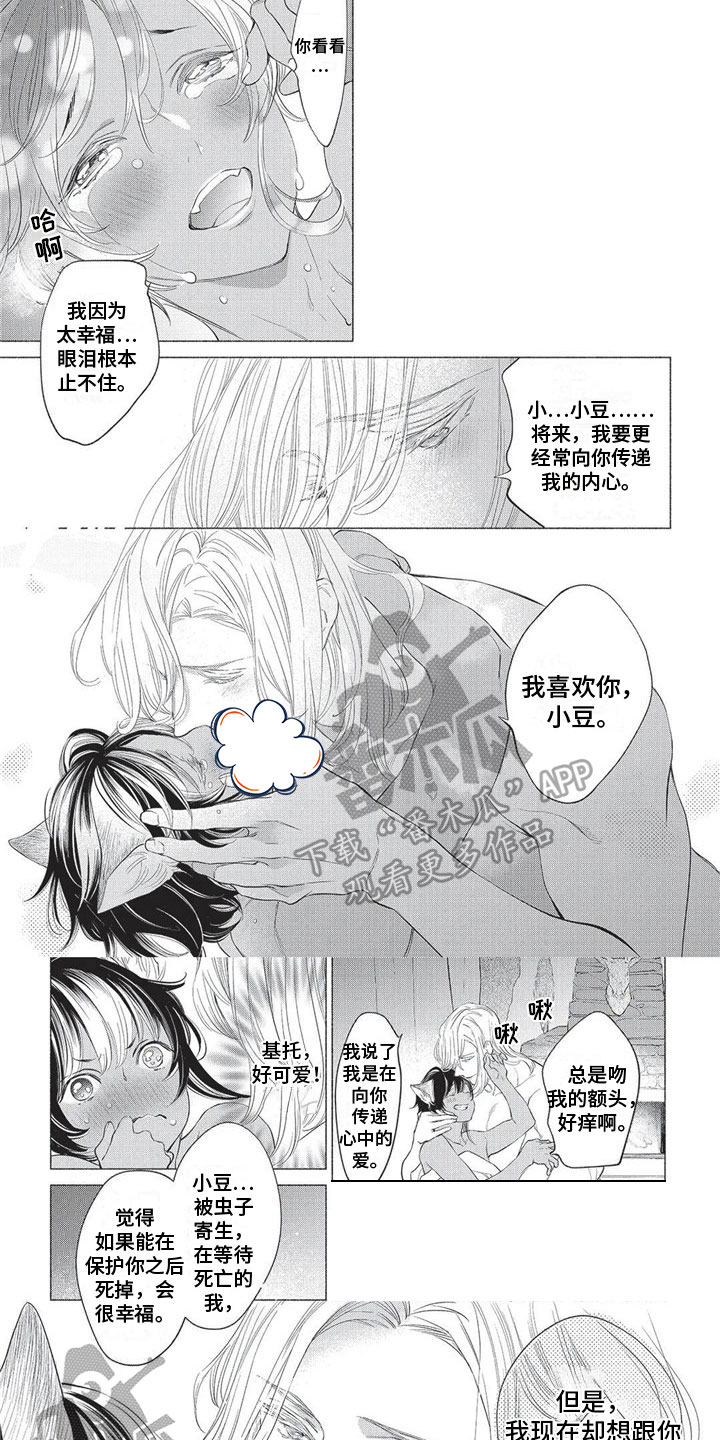 第29章：喜欢4
