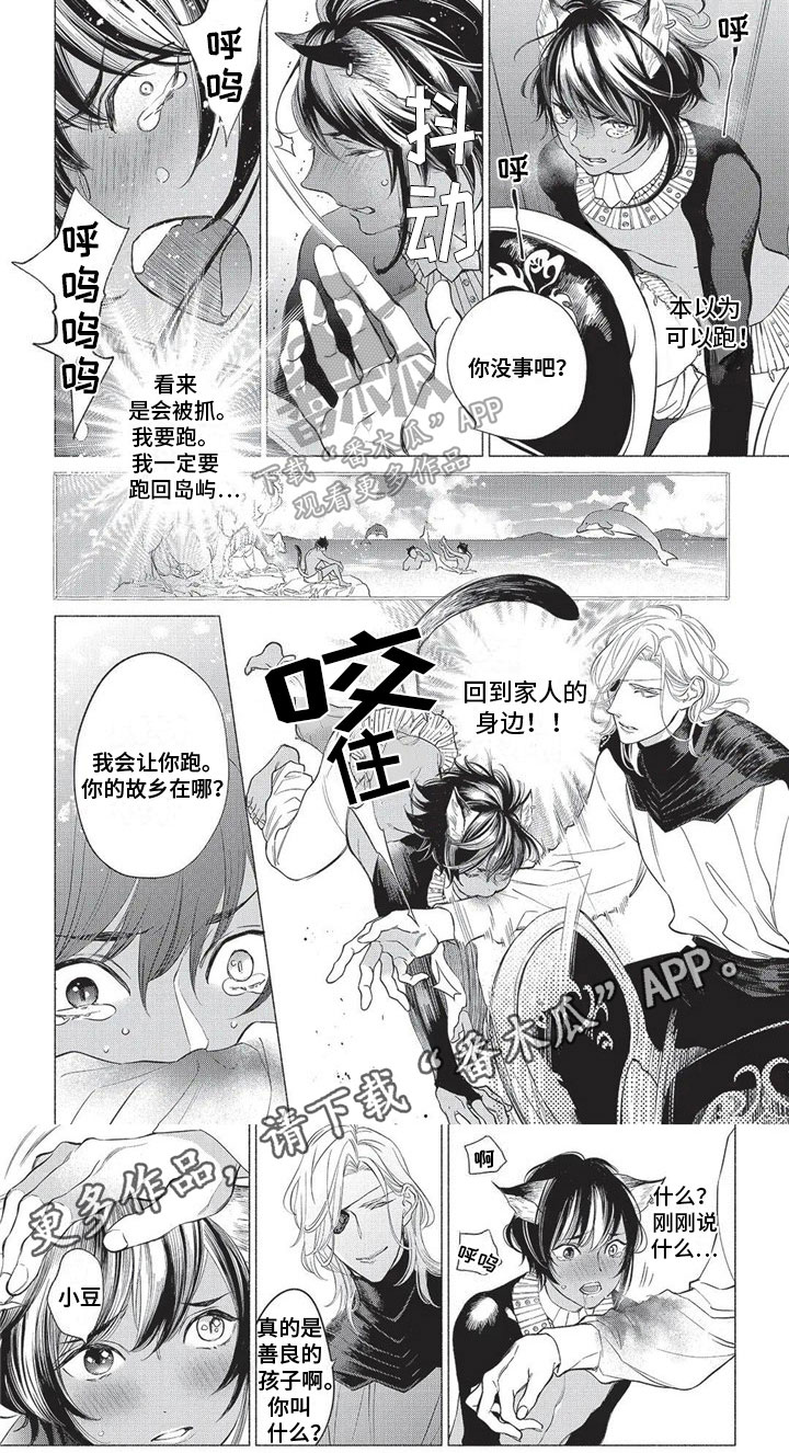第17章：远离故乡5