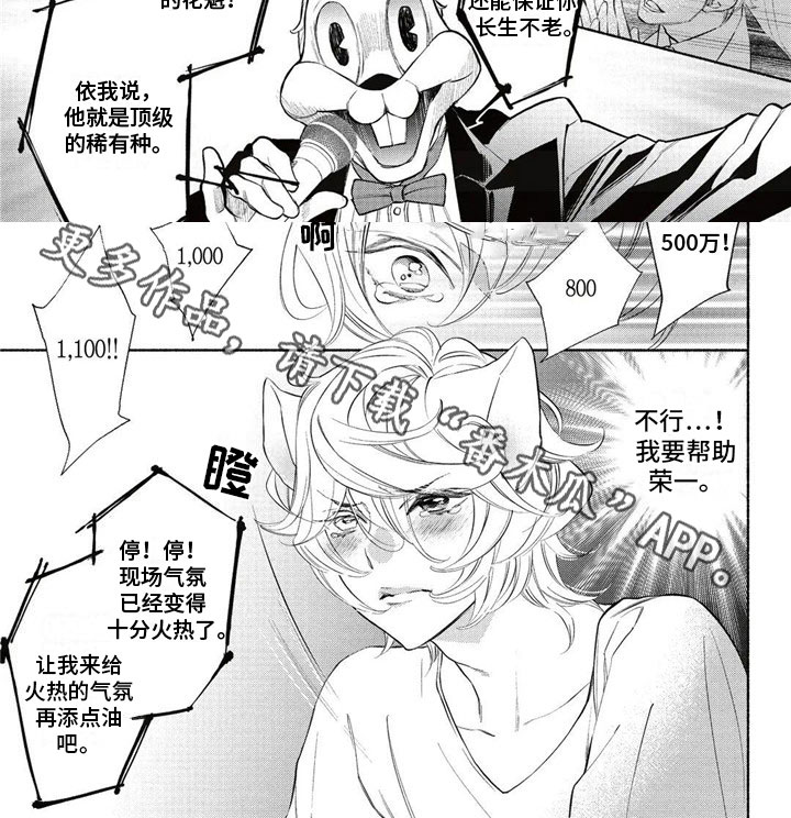 第10章：拍卖6