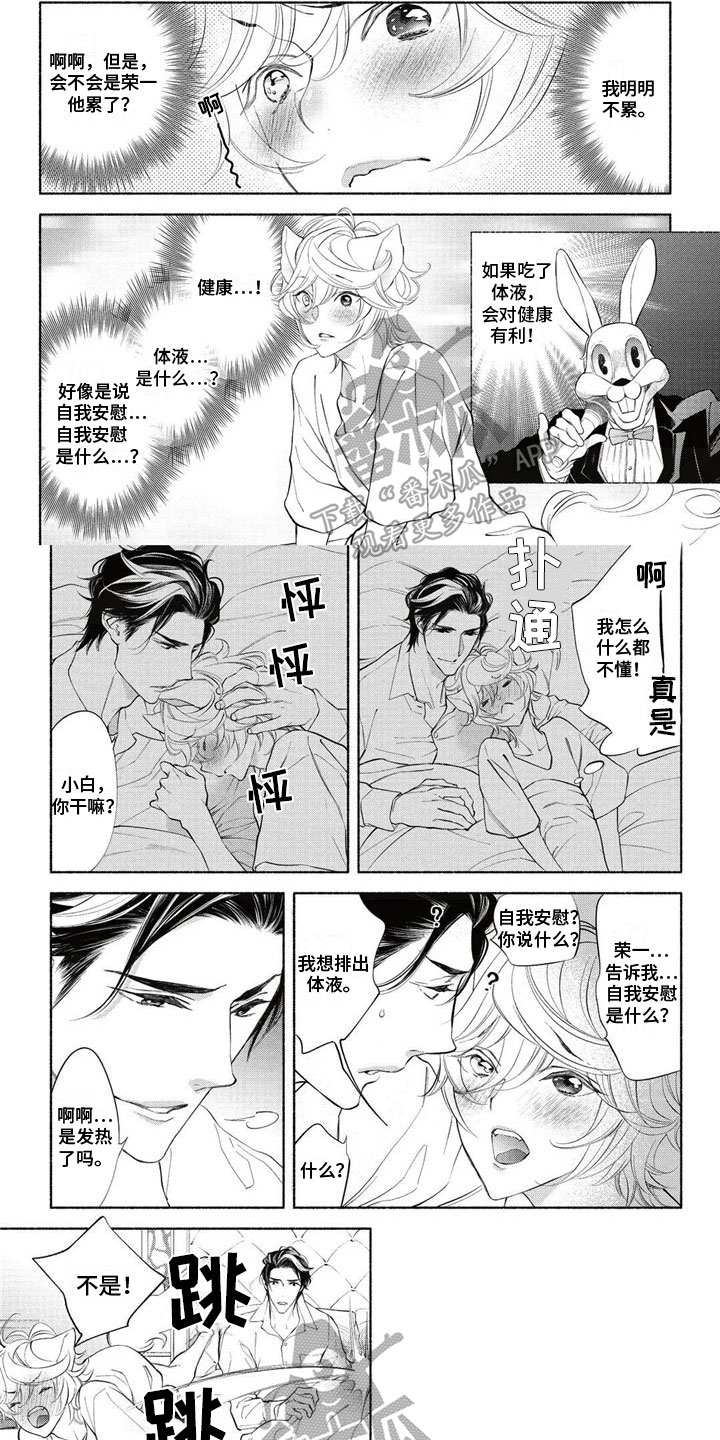 第13章：伴侣0