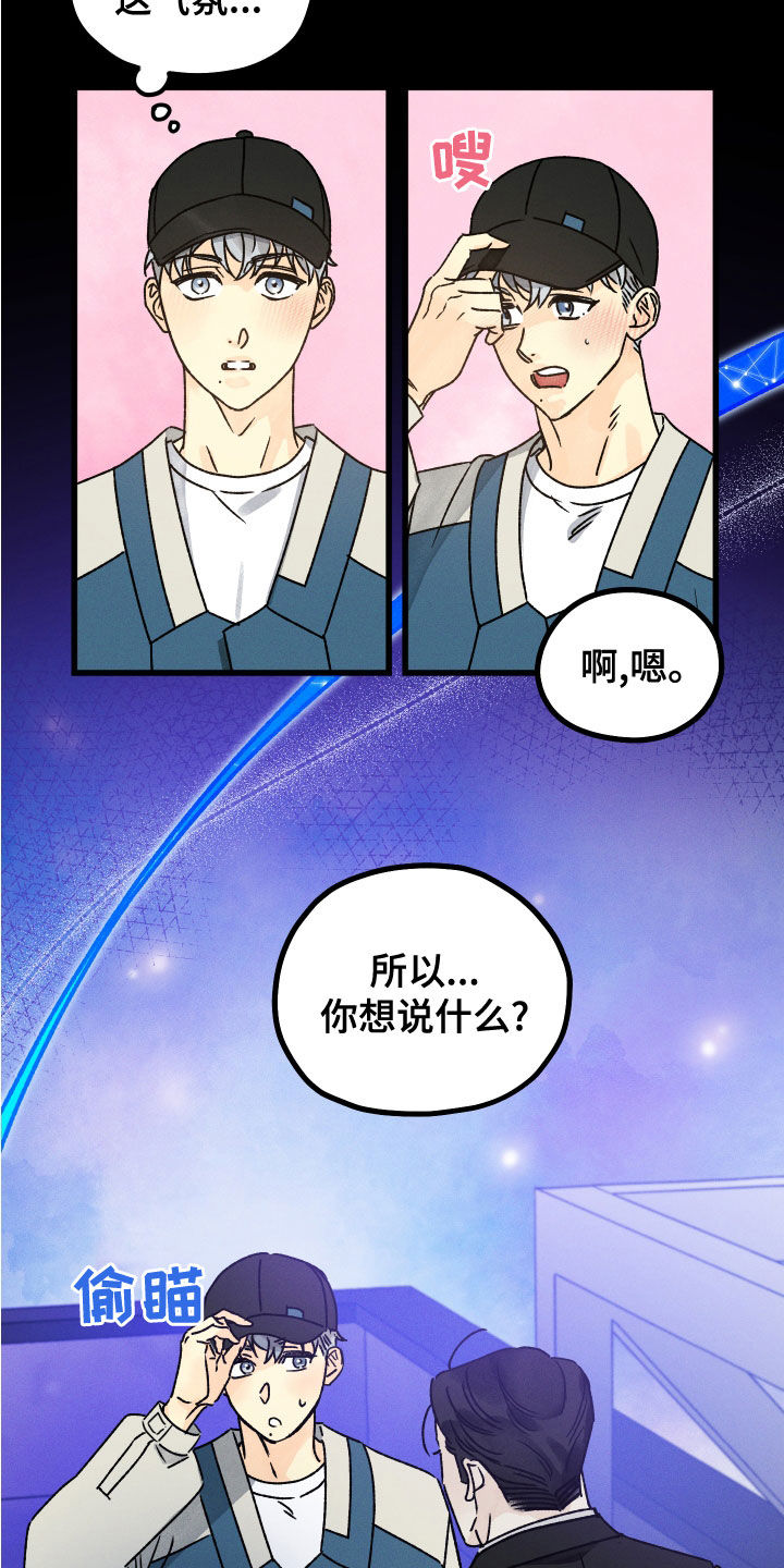 第26章：假设13