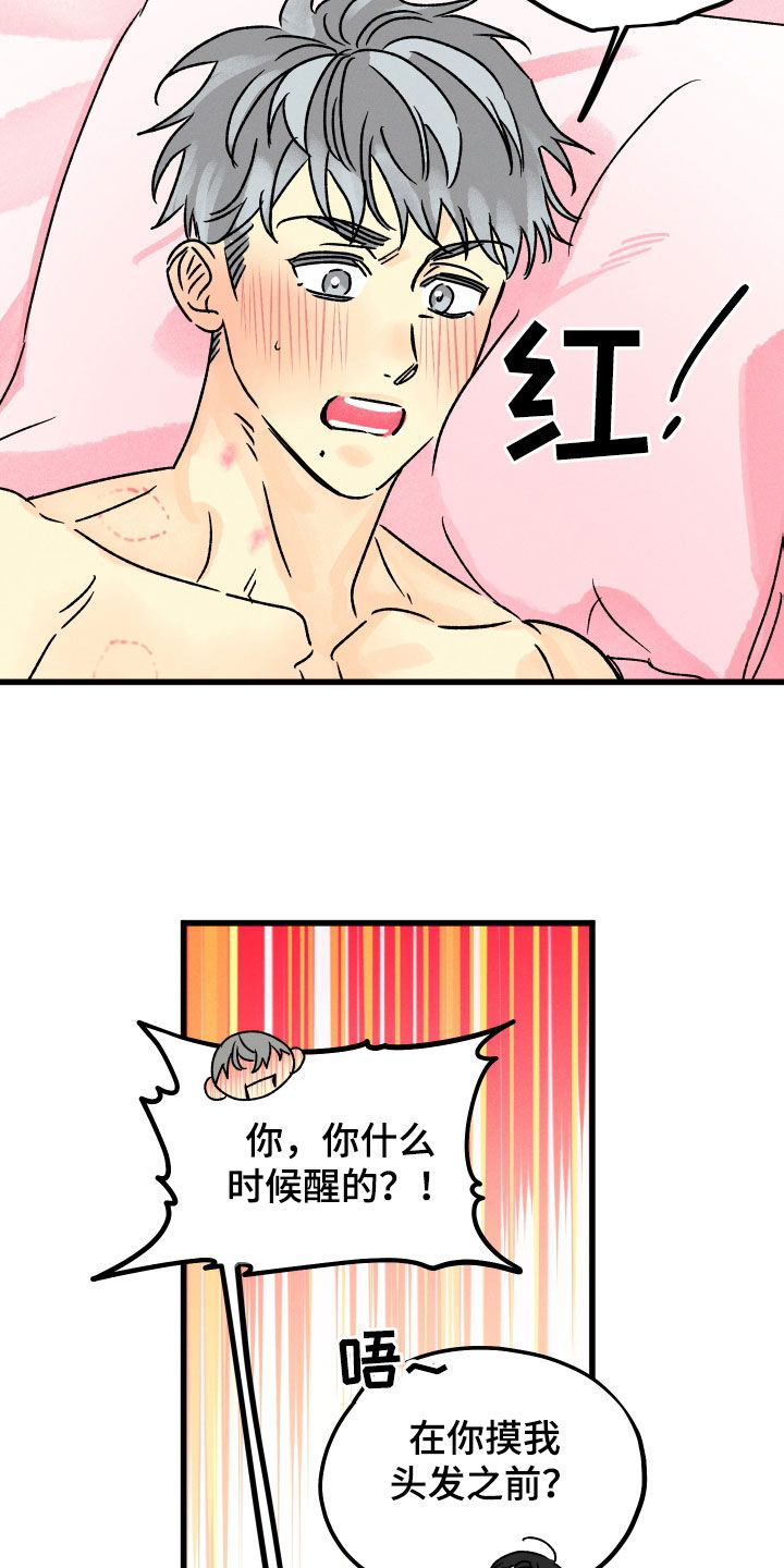 第43章：叫我护星12