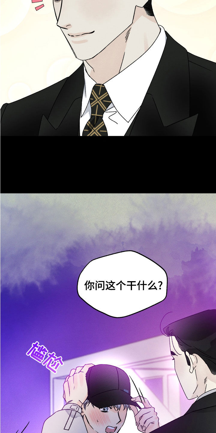 第26章：假设21