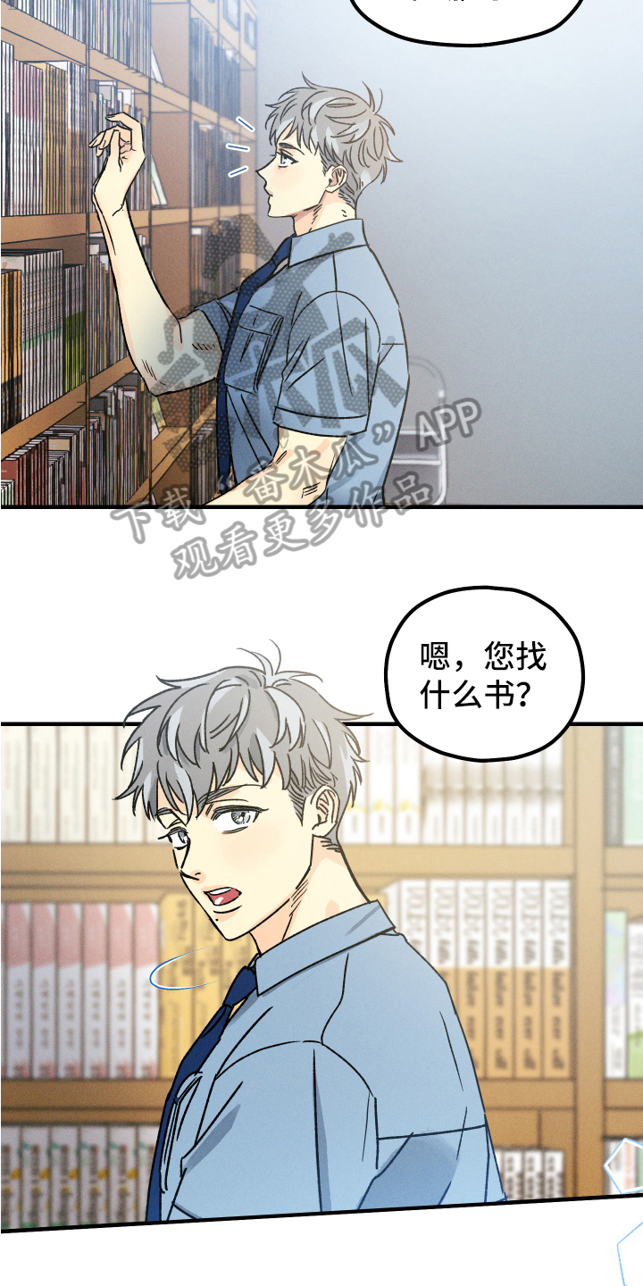 第13章：相遇6