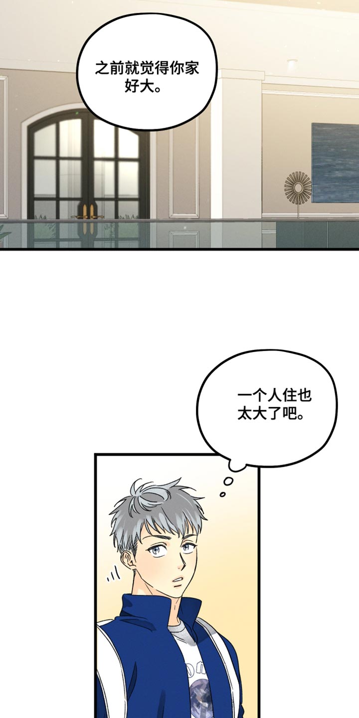 第62章：好好参观一下19
