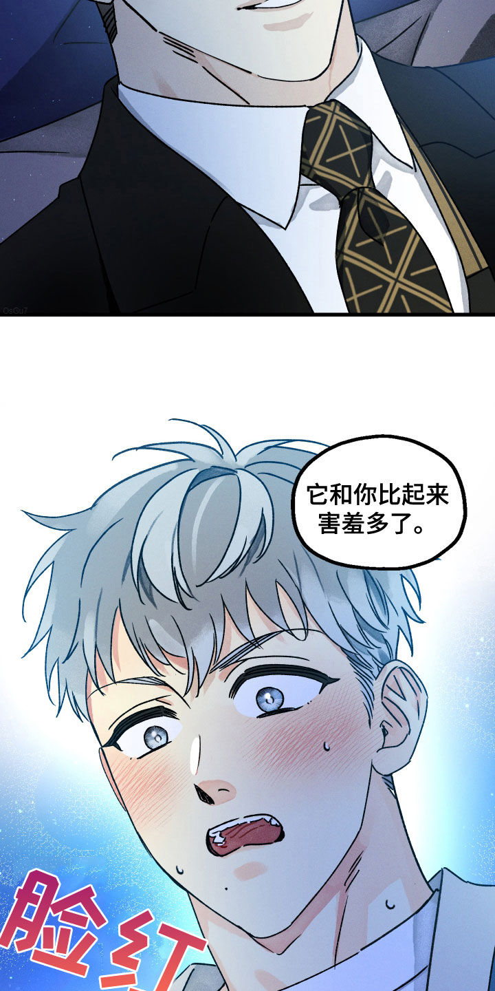 第29章：少废话5