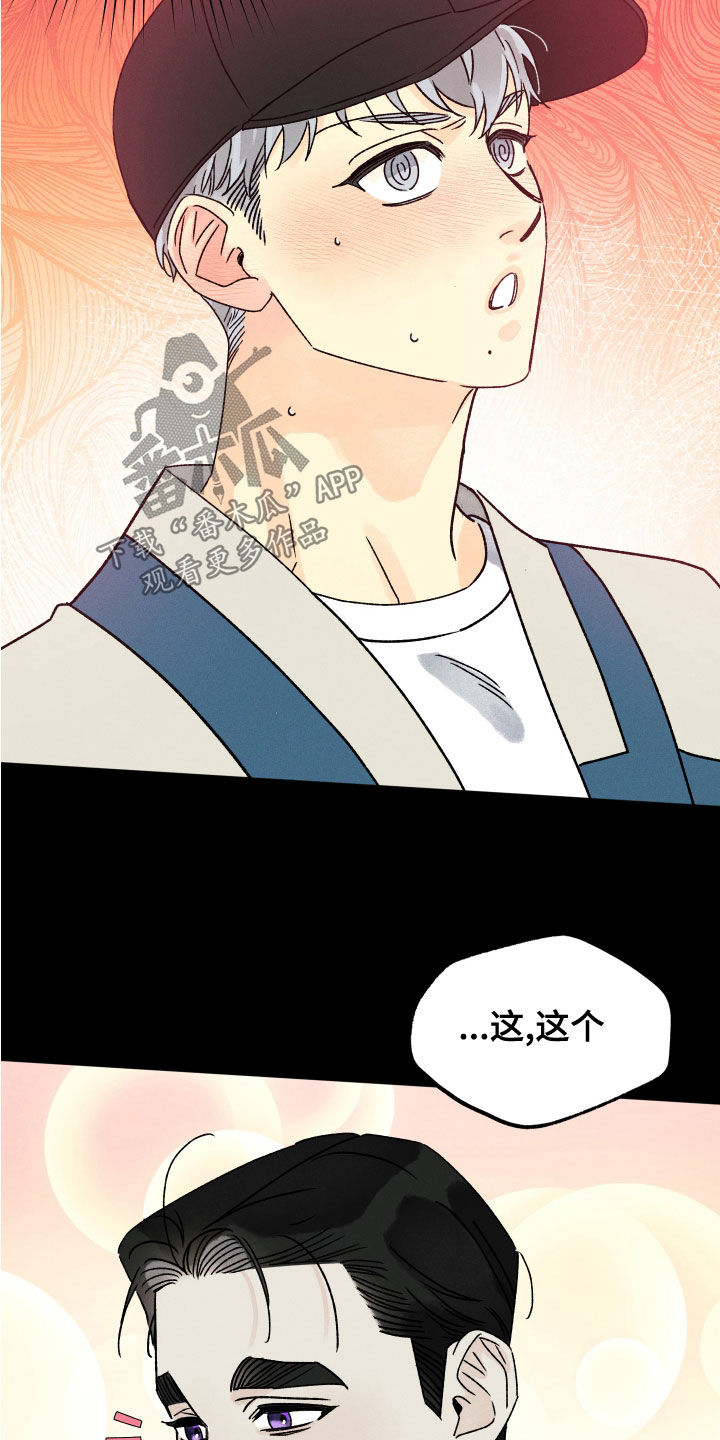第26章：假设20