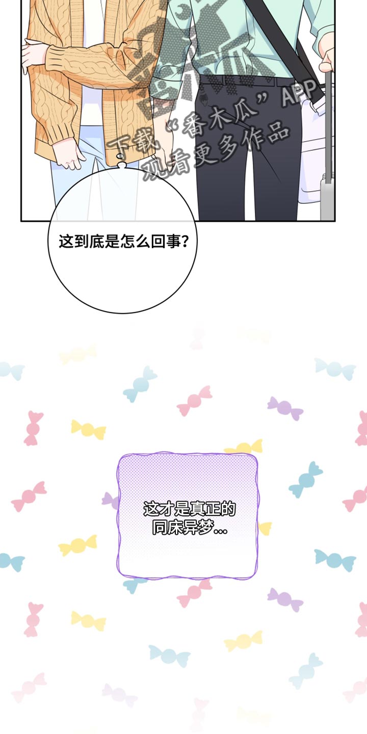 第21章：真正的同床异梦14
