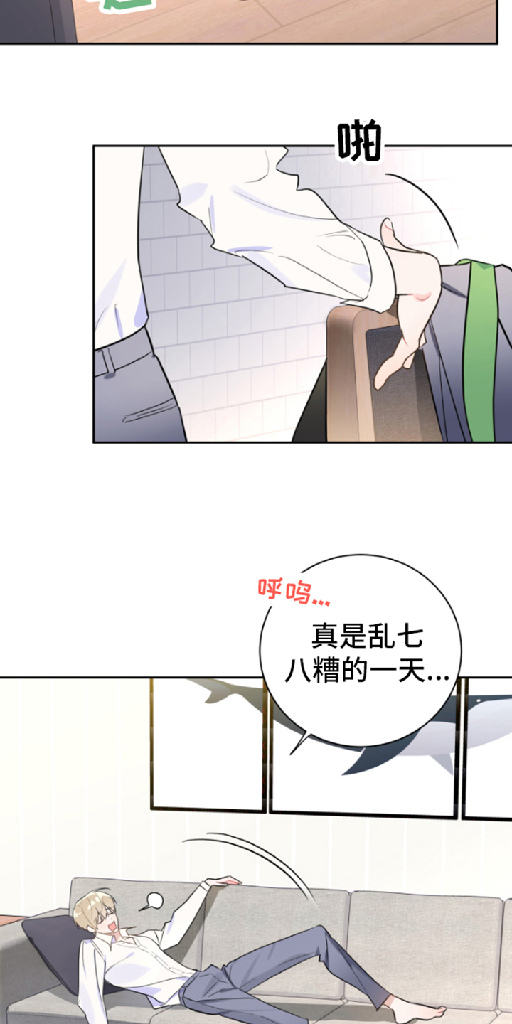 第4章：分析17