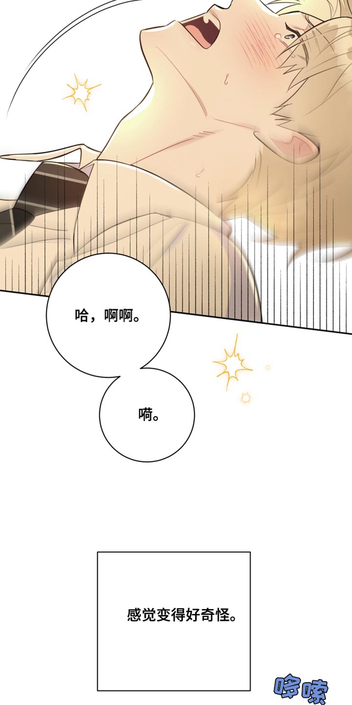 第18章：异常现象20