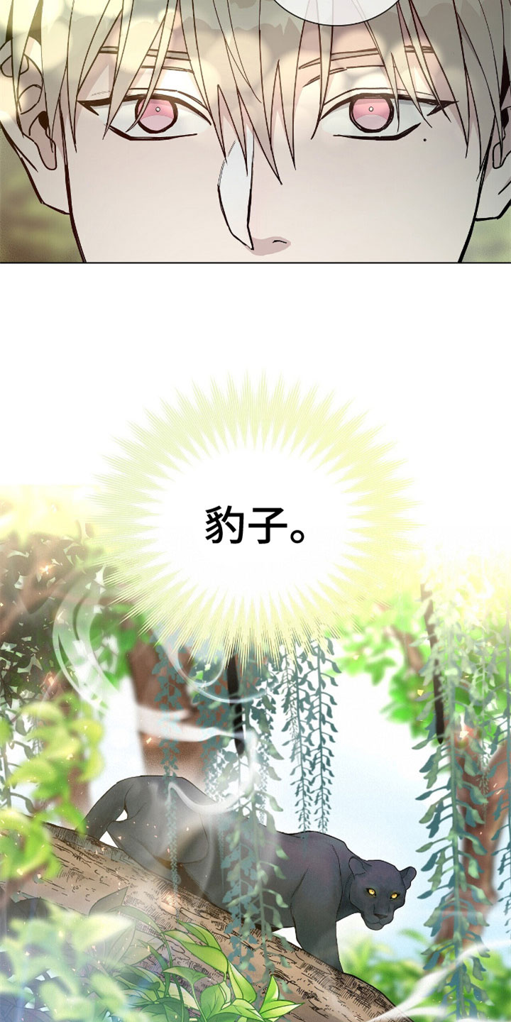 第4章：到底是谁12