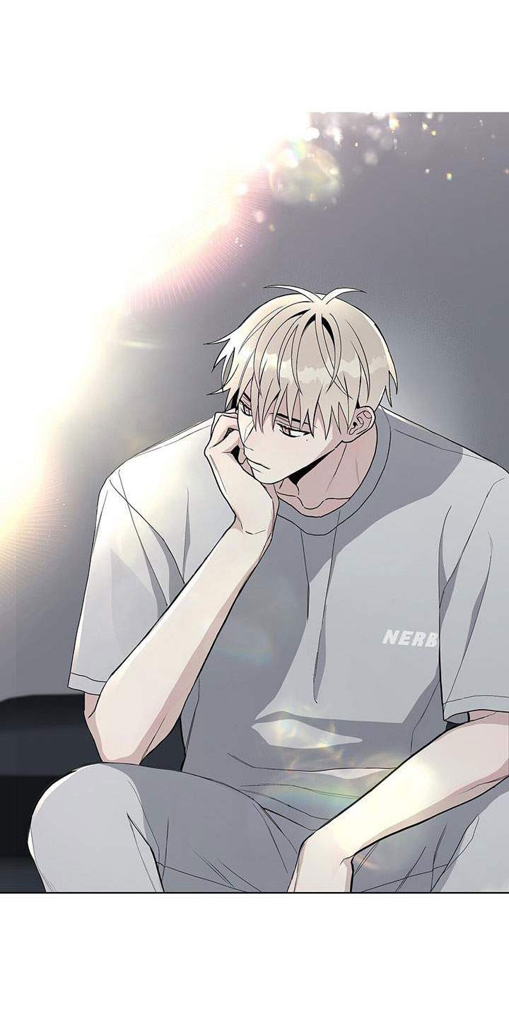 第40章：奇葩缘分22
