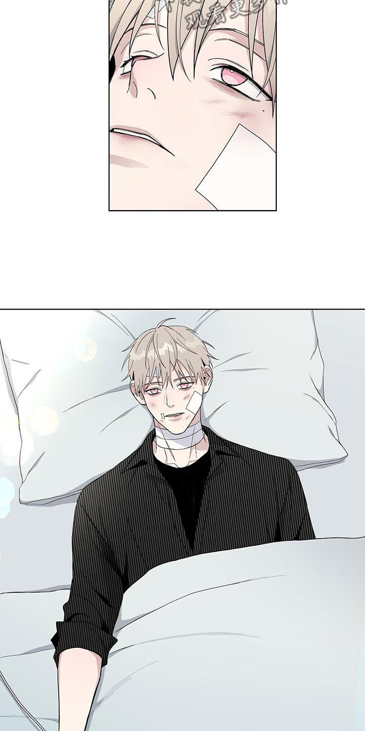 第54章：不是偶然15