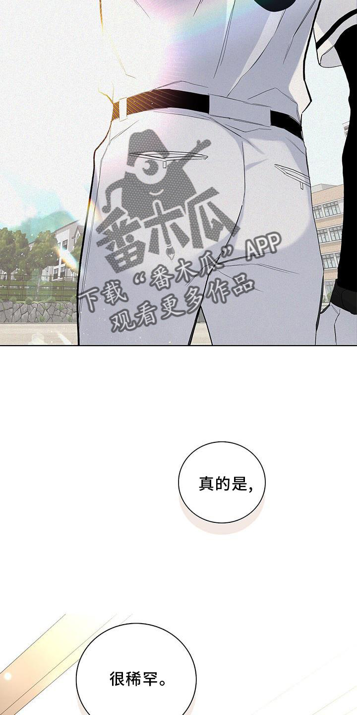 第33章：耀眼21